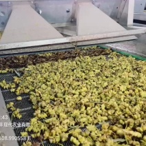 无硫春花八角大量上市