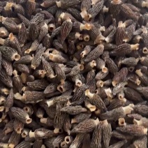 小精品2-5