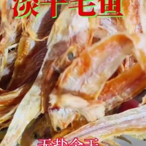 毛刀鱼