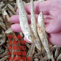 碳烤公鱼，无盐香脆不苦，十成干，价格实惠需要的联系我咨询