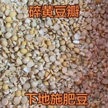 碎黄豆瓣无土无沙无杂质