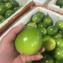 黄金果