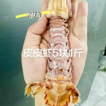 皮皮虾5块1斤#口袋饼做法皮皮虾5块1斤这个季节就要吃