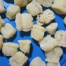 洪都拉斯蛰头