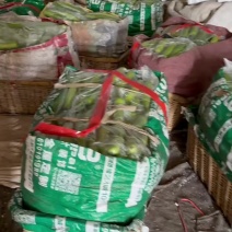 瓠子大量有货，对接各大电商超市市场食堂需要的老板联系