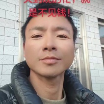 绿豆粉皮