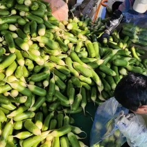 水果萝卜