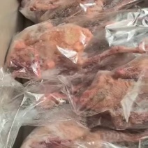 一级6-7两的鸽子一只，一件20只