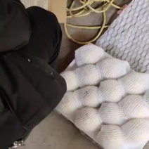 河北皇冠梨基地