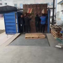 精品鹿茸菇