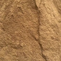 核桃粉香气扑鼻高脂肪牛羊鸡鸭鹅都喜欢吃