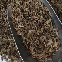 观音竹