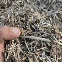 花生秧