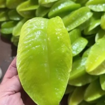 精品杨桃