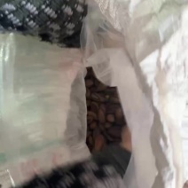 新到香榧。个位数喜欢来谈
