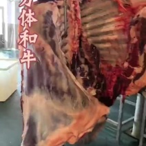 牛酮四分体呼伦贝尔全草牛当天屠宰冷鲜发货全规格供货