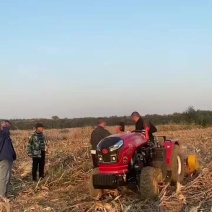 黑金刚大棚中拖804四轮农用四驱拖拉机小型耕地机
