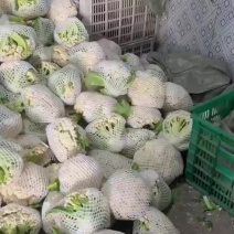 精品有机花大量上市，个头不大，价格美丽！！
