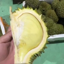 品质货