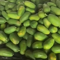红心木瓜