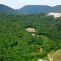 林地出租、转让