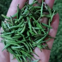 江山绿牡丹茶叶明前龙井白茶