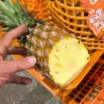 海南金钻凤梨