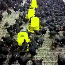 电商**:来个实力老板。[勾引]来个团长。私聊高回报。一件代