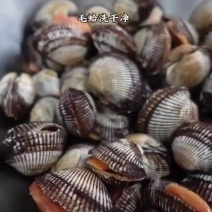 毛蛤码头直发电商平台团购家庭装