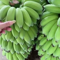 苹果香蕉