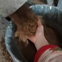 发酵饭渣