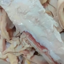 牛腹肌线
