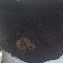 俄罗斯草木灰