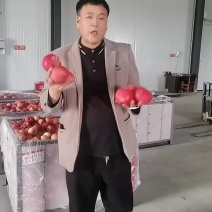 高山纸袋新品红富士苹果/颜色好口感脆甜/套盒礼盒装热销品
