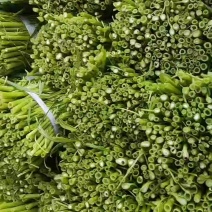 空心菜