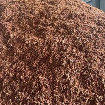 枣核用做颗粒烧锅炉电厂