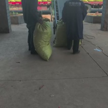 干二荆条