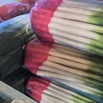 长年加工网包净葱，有需要的老板联系