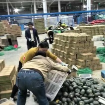 山东潍坊贝贝南瓜一件代发