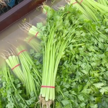 【优选】精品香芹量大质优对接电商市场商超