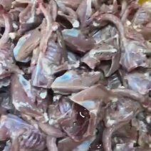 去皮鸽子带肉2吨