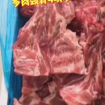猪胫骨