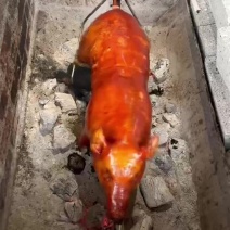 烤乳猪