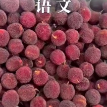 正宗云南石屏土梅/新鲜当季酸甜鲜果青红杨/便宜
