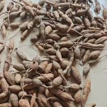 纯野生黑牛大力蛋主营：各种养生滋补土特产，大量供应！电商