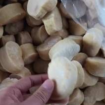 江瑶贝柱