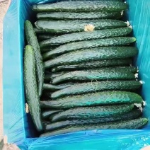 精品箱，泡沫箱，手提袋大量有货