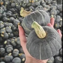 贝贝南瓜