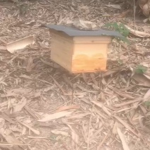 新鲜蜂蜜