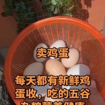 土鸡蛋